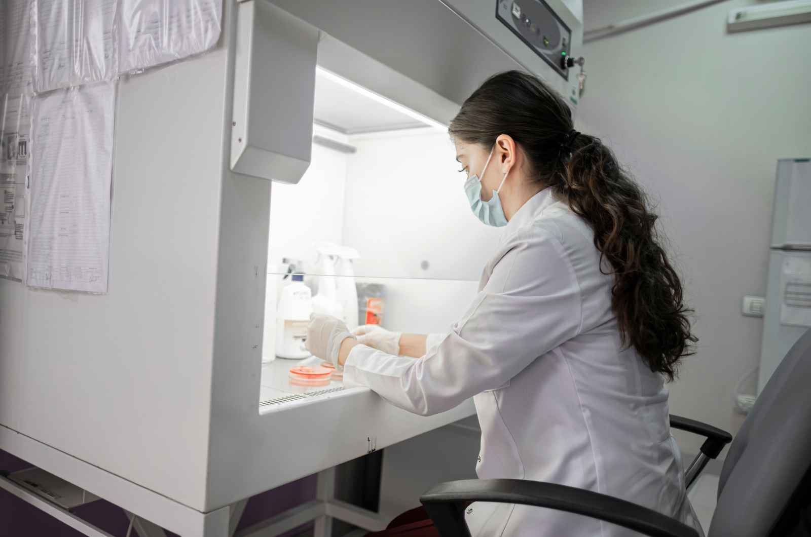 anatomy cadaver lab