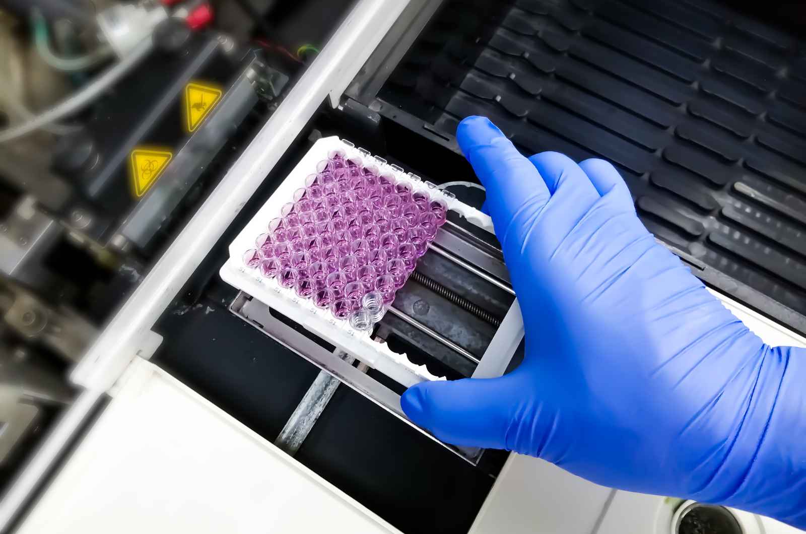 cell-based assays for the biotechnology industry