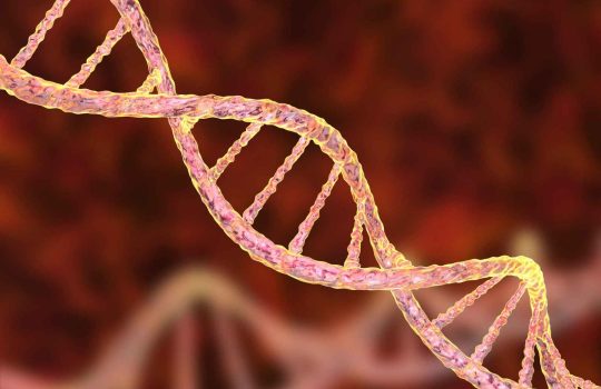 What is Tertiary Analysis and How it Works?2