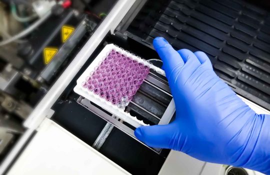 cell-based assays for the biotechnology industry2